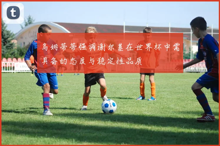乌姆蒂蒂强调谢尔基在世界杯中需具备的态度与稳定性品质