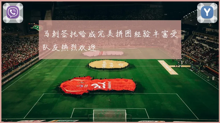 马刺签托哈成完美拼图经验丰富受队友热烈欢迎